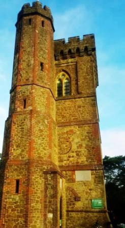 Leith Hill tower