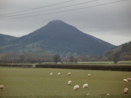 Looking across to Moel y Golfa MW-027