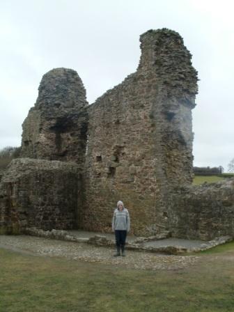 Montgomery Castle