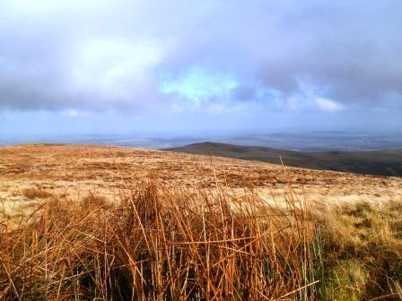 View from the summit