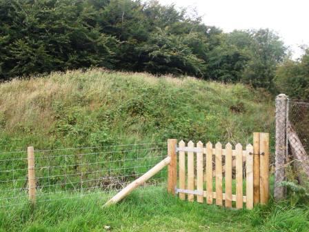 Gate into the beacon ring area