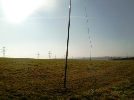 View across the field we were in on Brandy Hill