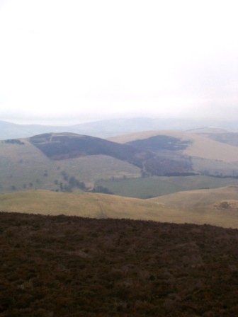 View from the "shack"