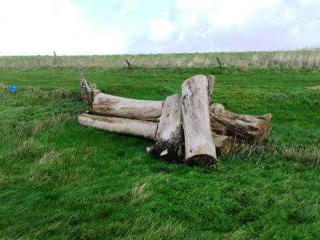 Nine Barrow Down summit area