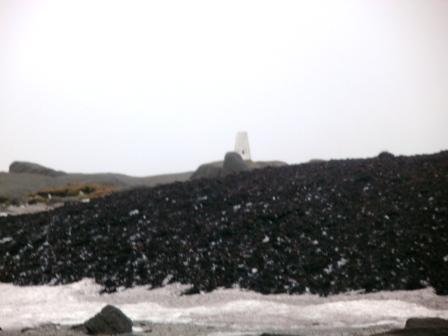 Kinder Low