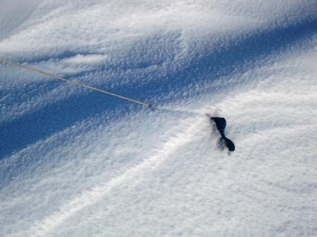 No need for pegs today!