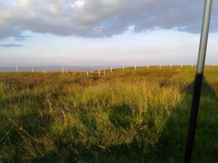 Tranquil evening on Winter Hill