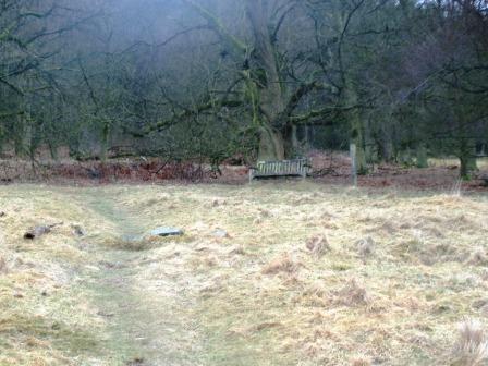 Grassy path up from picnic area