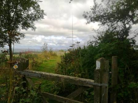 Callow Hill summit area