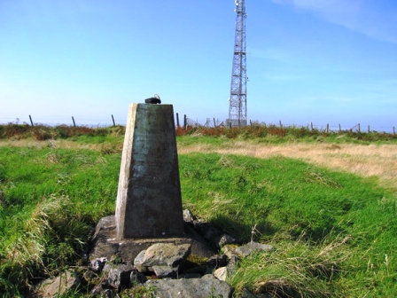 Mynydd Sylen