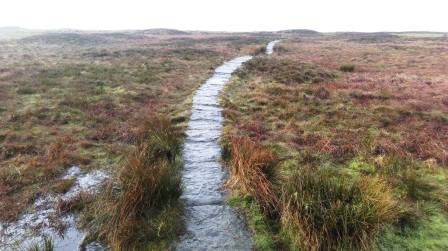 Flagged path on Black Hill