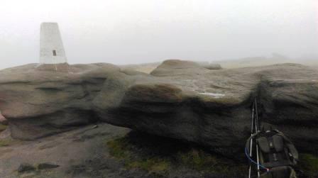 Kinder Low