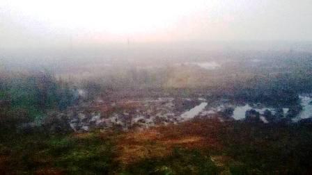 Bog on Winter Hill