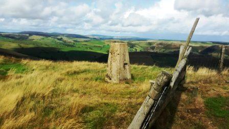 Gyrn Moelfre summit