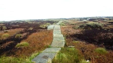 Flagged path near the summit