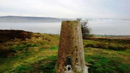 Gun trig point