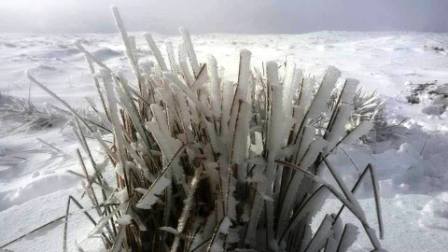 Snowy summit!