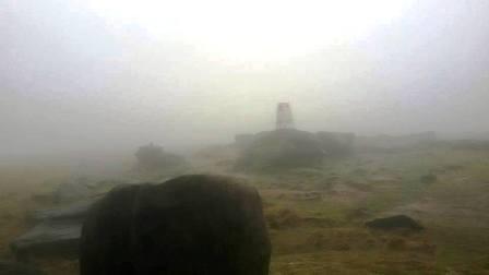 Kinder Low