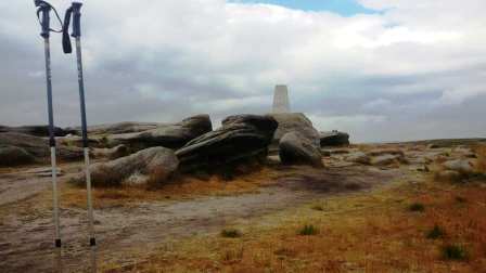 Kinder Low