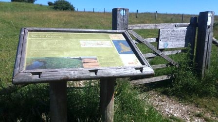 Chanctonbury Ring