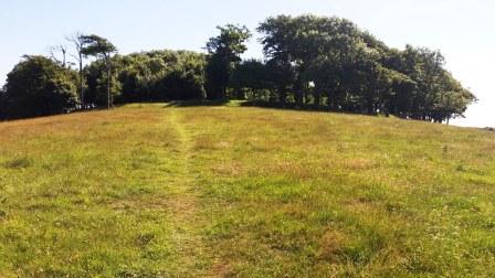 The Chanctonbury Ring