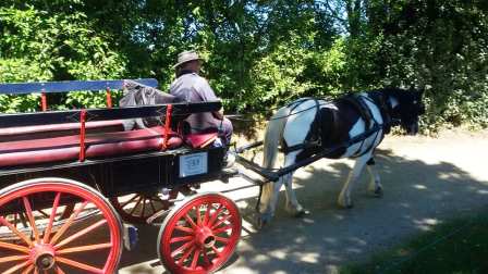 Rush hour Sark