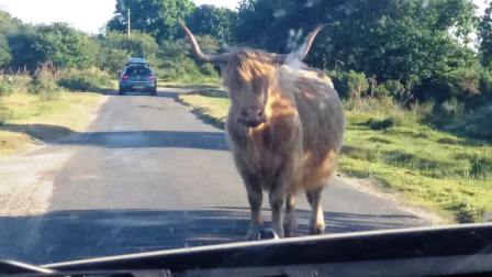 This chap wasn't too keen on letting us pass!