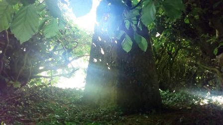 Hidden trig point on Christ Cross