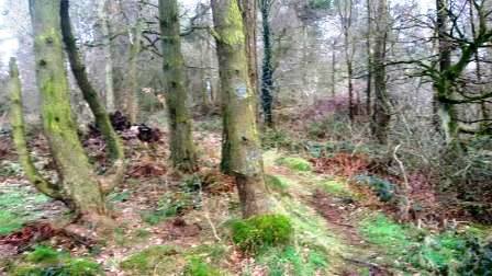 Path off Mynydd y Cwm