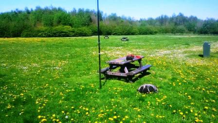 Set up on picnic table on Detling Hill