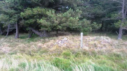 Small cairn marking the summit