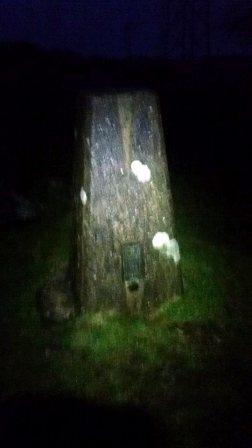 Trig point