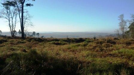 View from Black Down