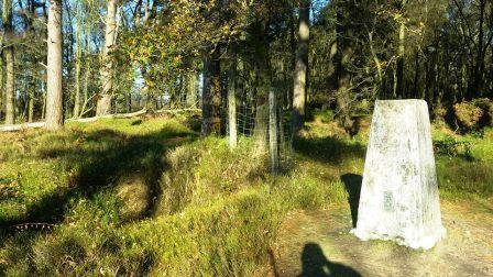 Black Down summit