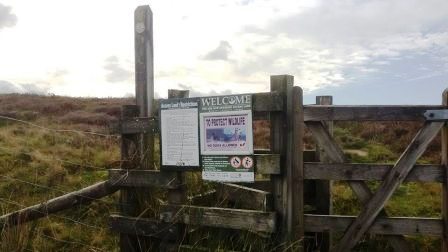 Gate into the access land beside the road