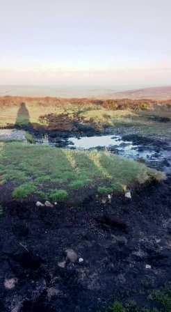 Bog near the summit