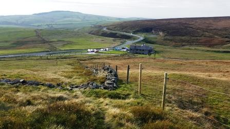 Nearly back down at the tearooms