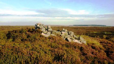 Gisborough Moor