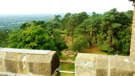 View from the top of the tower