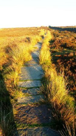 Flagged path to the summit