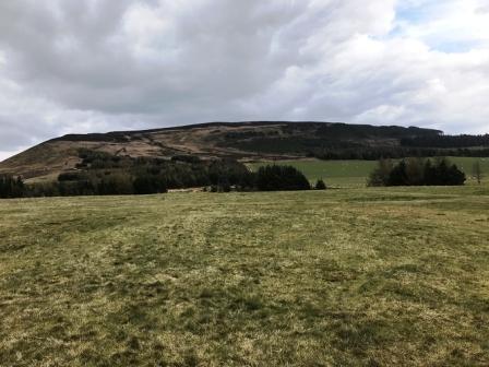 Cringle Moor