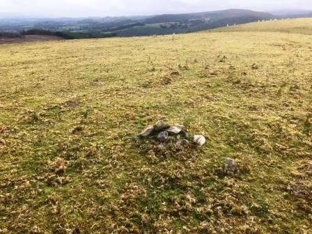 Cairn on the summit of Rhiw Gwraidd