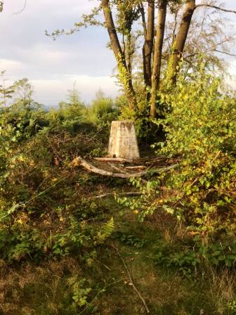 Summit of Wentwood