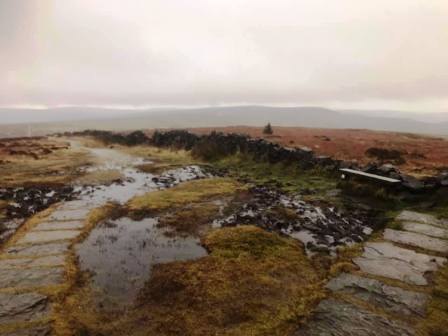 Pretty grotty on Shining Tor summit