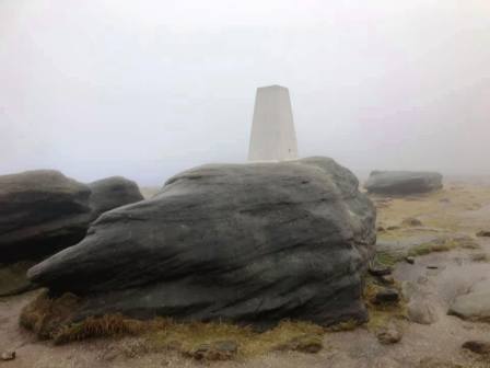 Kinder Low