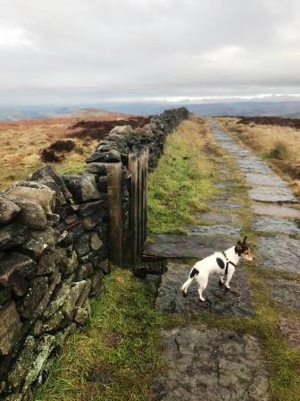 Shining Tor summit