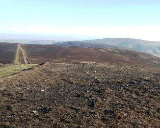 Looking back across to Ponderosa and Cyrn-y-Brain