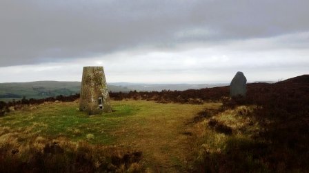 Moel Gyw