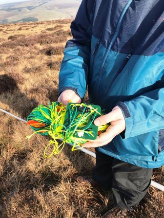 Spaghetti for tea?