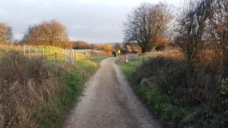 The byway across Walbury Hill